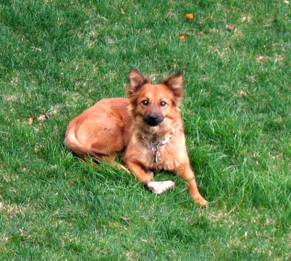 /Images/uploads/Humane Society of Utah/HSUCalendar/entries/1024thumb.jpg